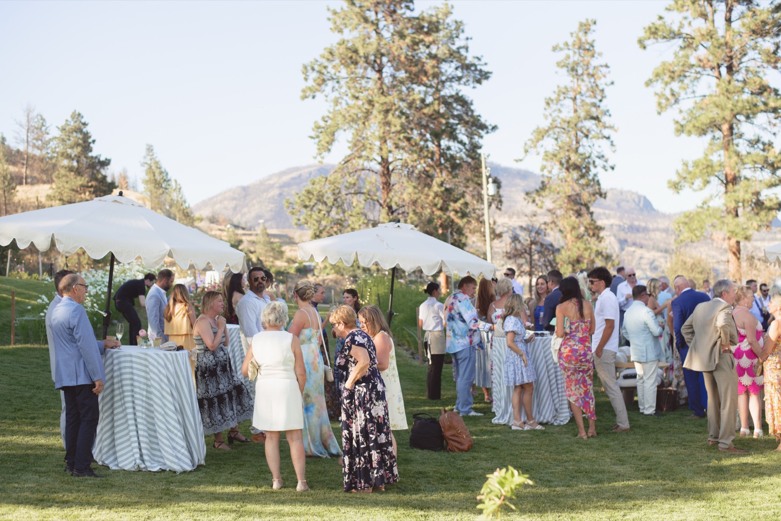 Eleven Acres venue — photo 14