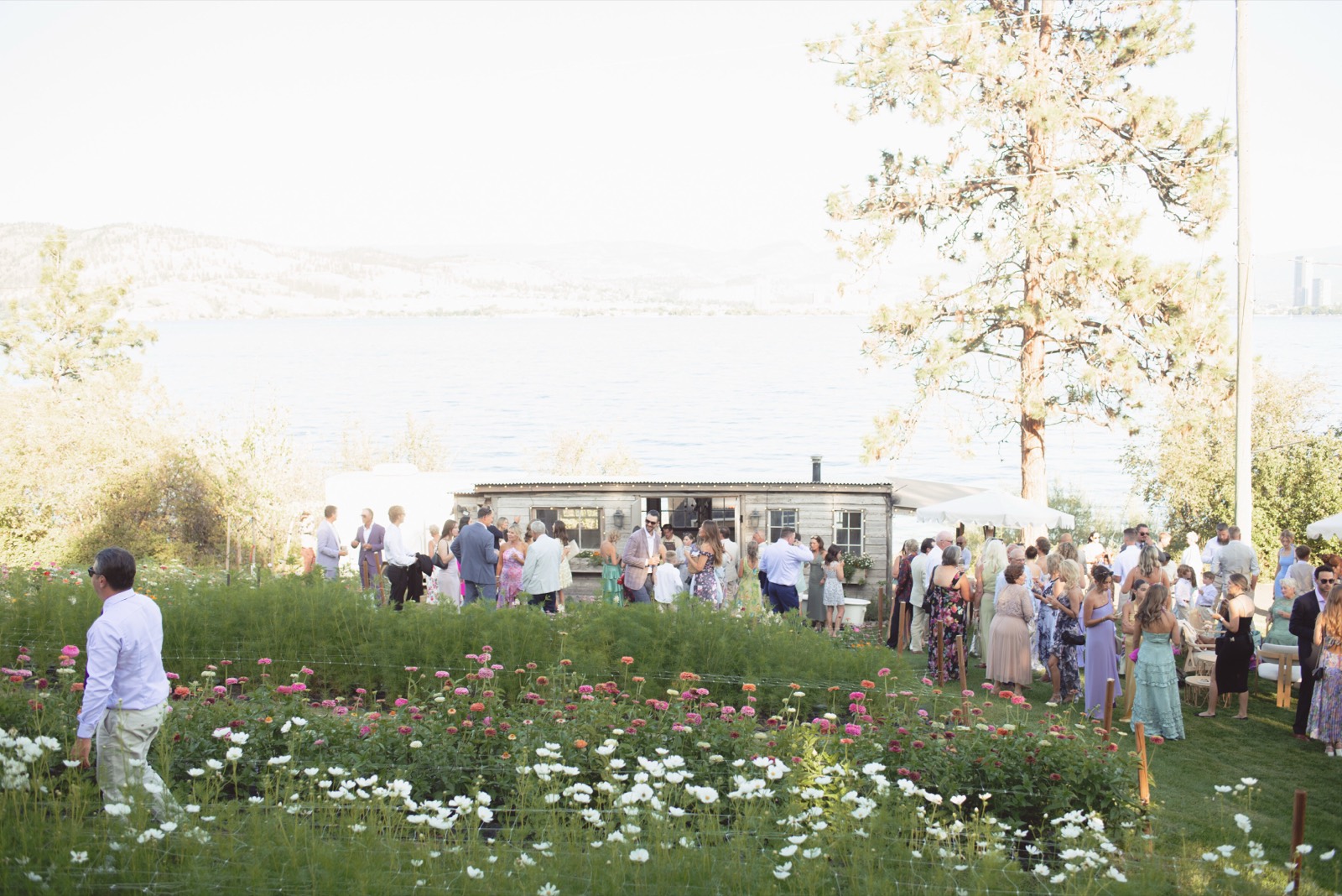Eleven Acres venue — photo 15